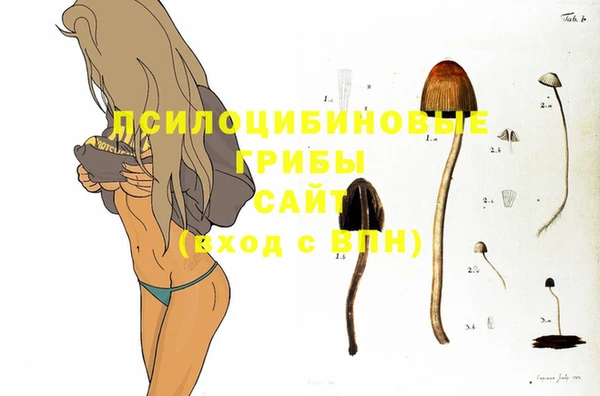 крисы Алексин