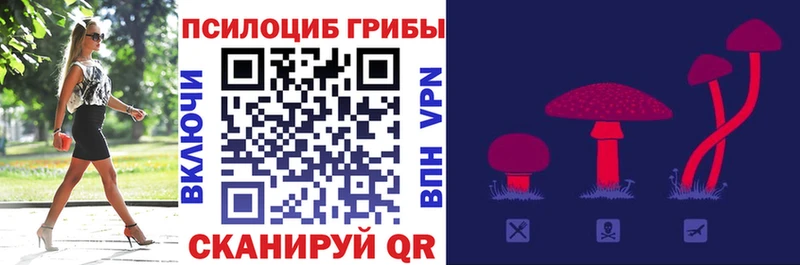 как найти   Щигры  Псилоцибиновые грибы прущие грибы 